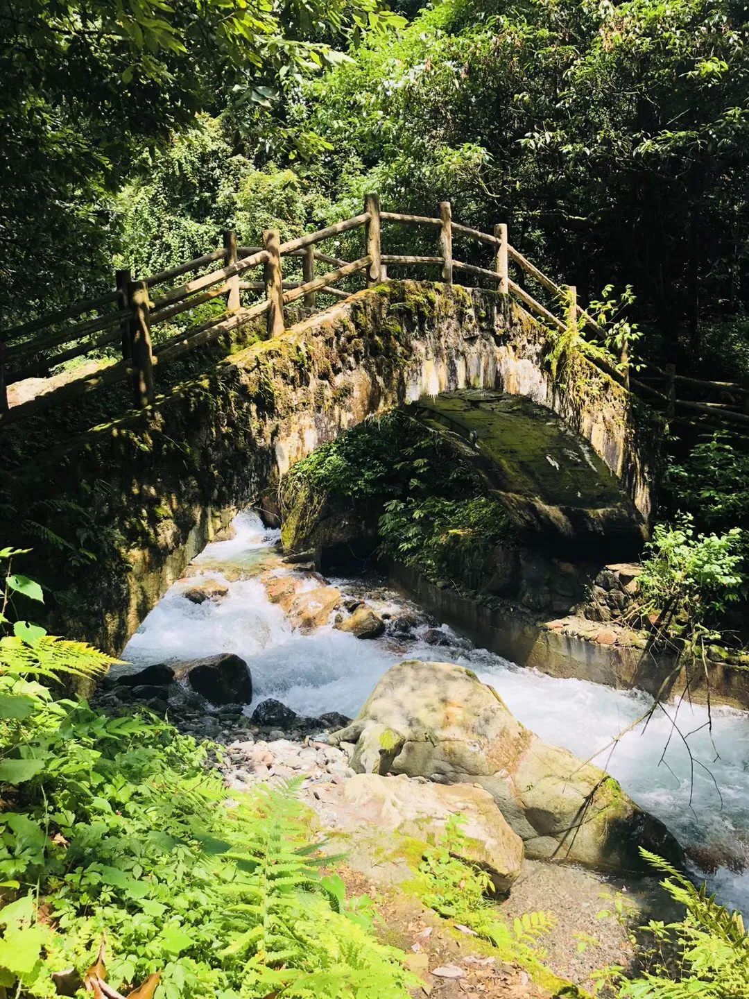 逗小猴开心系列164